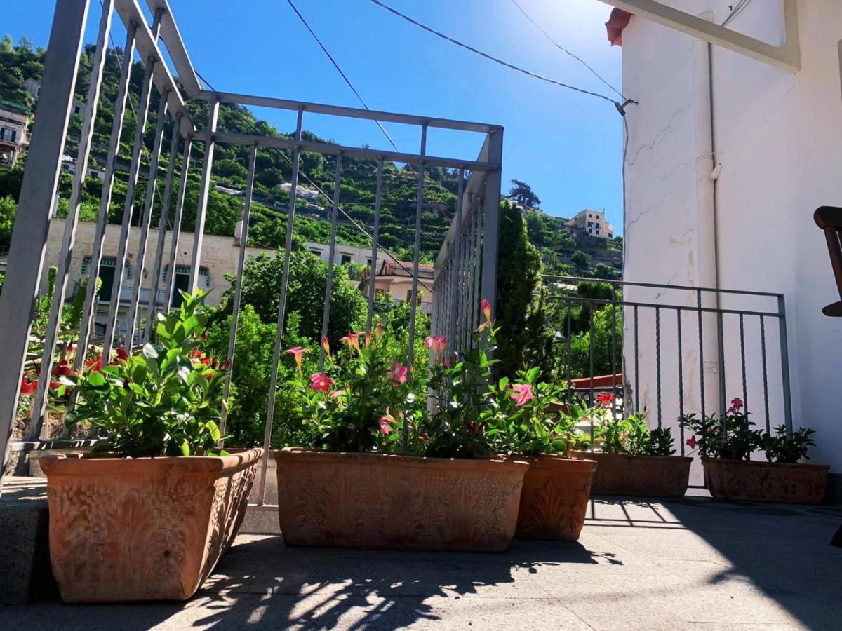L'Albero Della Vita Minori Exteriör bild